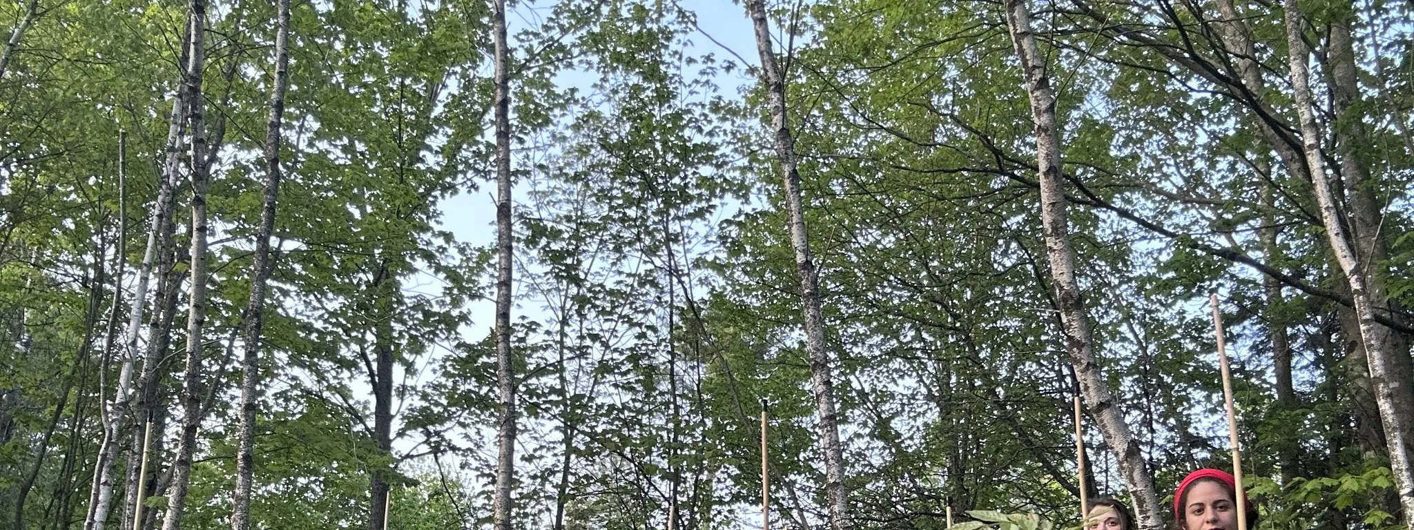 Fire dancer performance